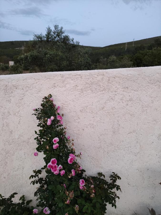 Porto de Mós Casa Dos Vales 11 빌라 외부 사진