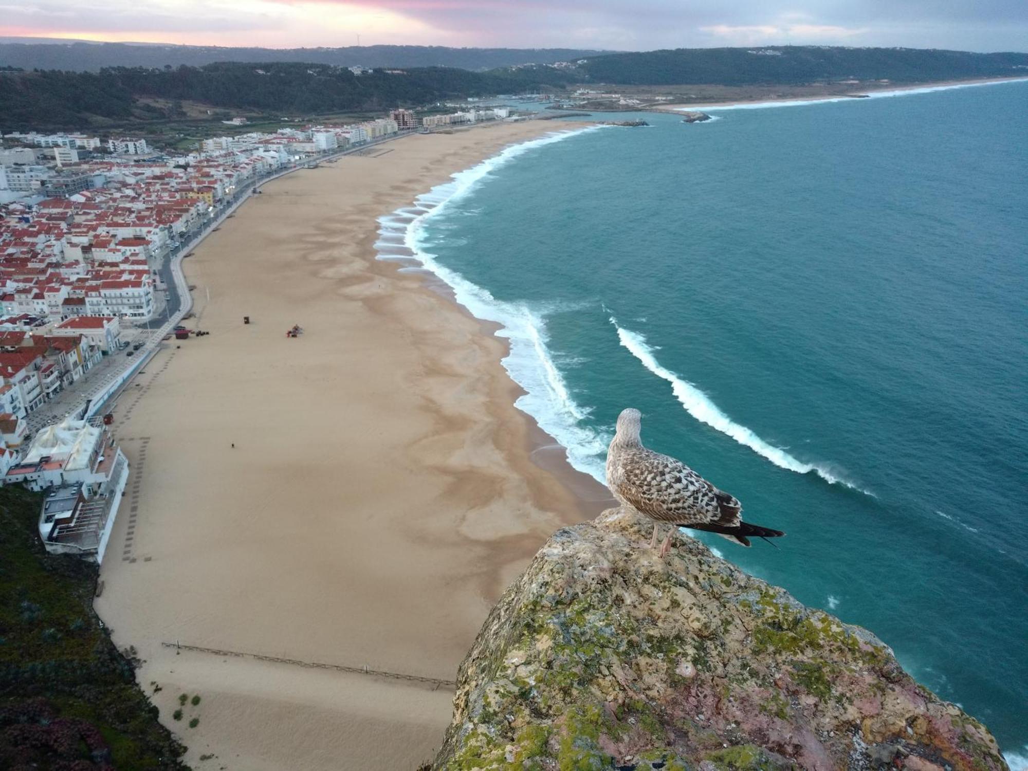 Porto de Mós Casa Dos Vales 11 빌라 외부 사진