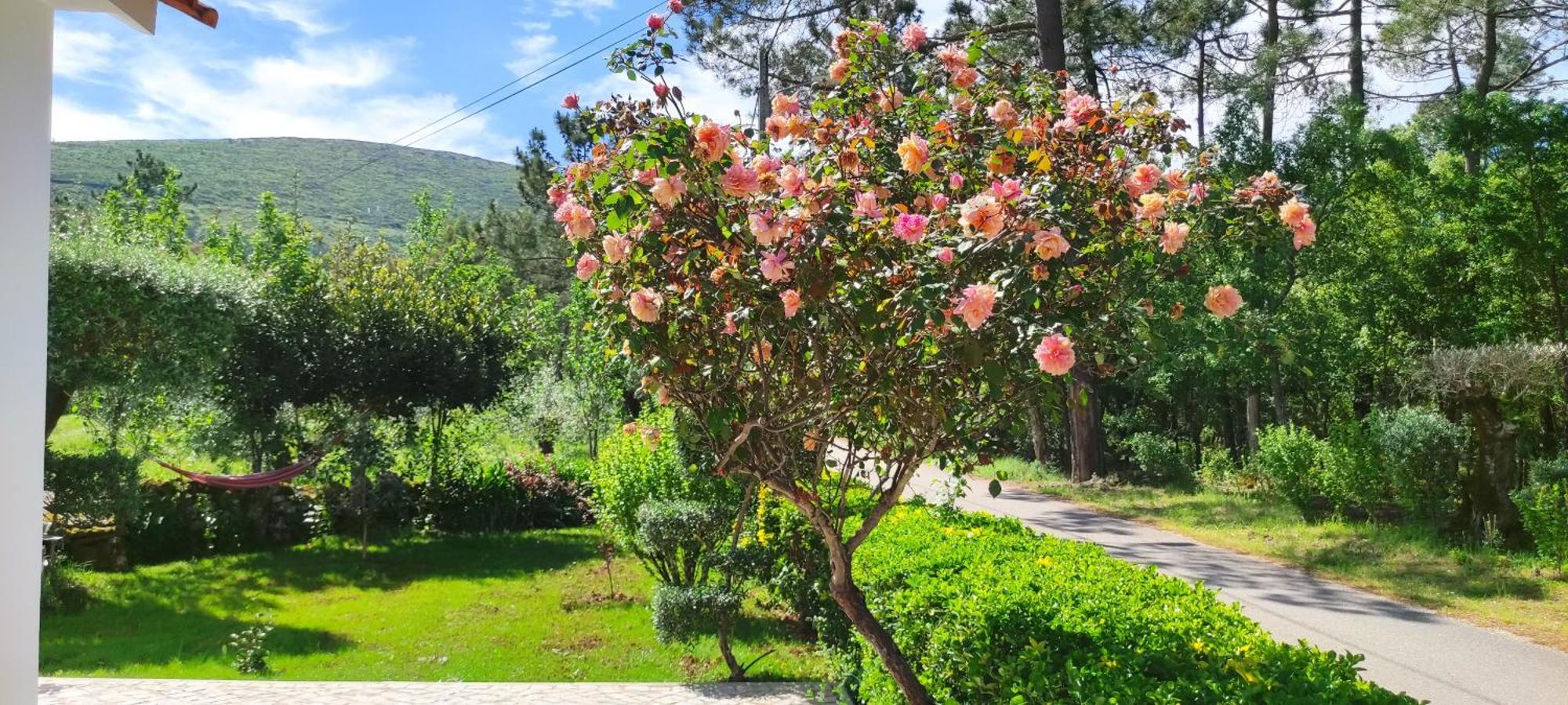Porto de Mós Casa Dos Vales 11 빌라 외부 사진