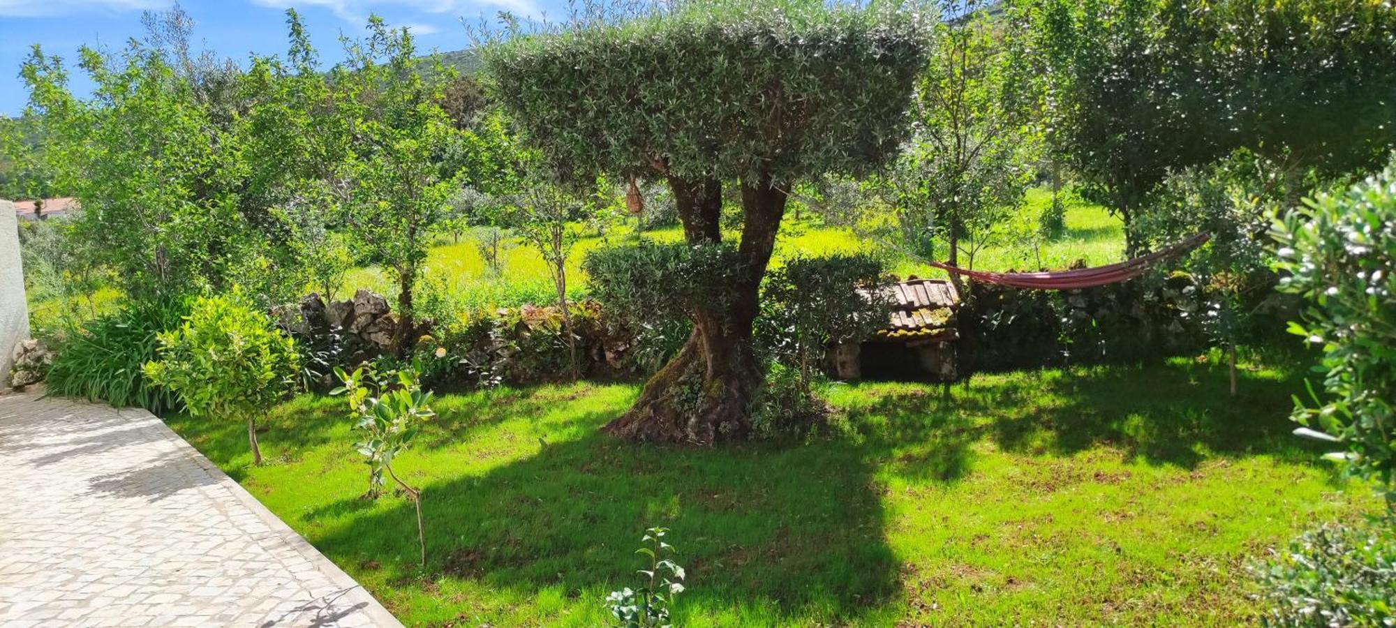 Porto de Mós Casa Dos Vales 11 빌라 외부 사진