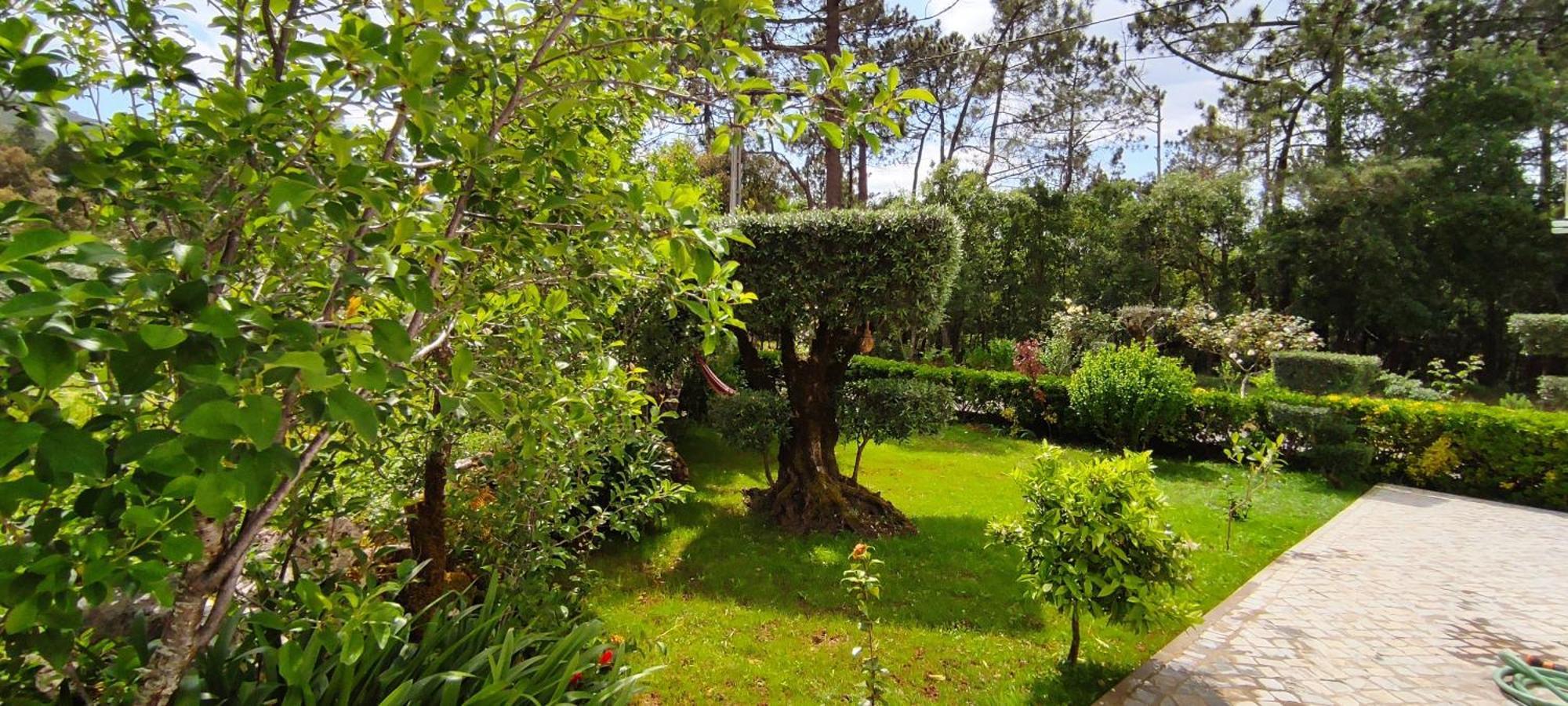 Porto de Mós Casa Dos Vales 11 빌라 외부 사진